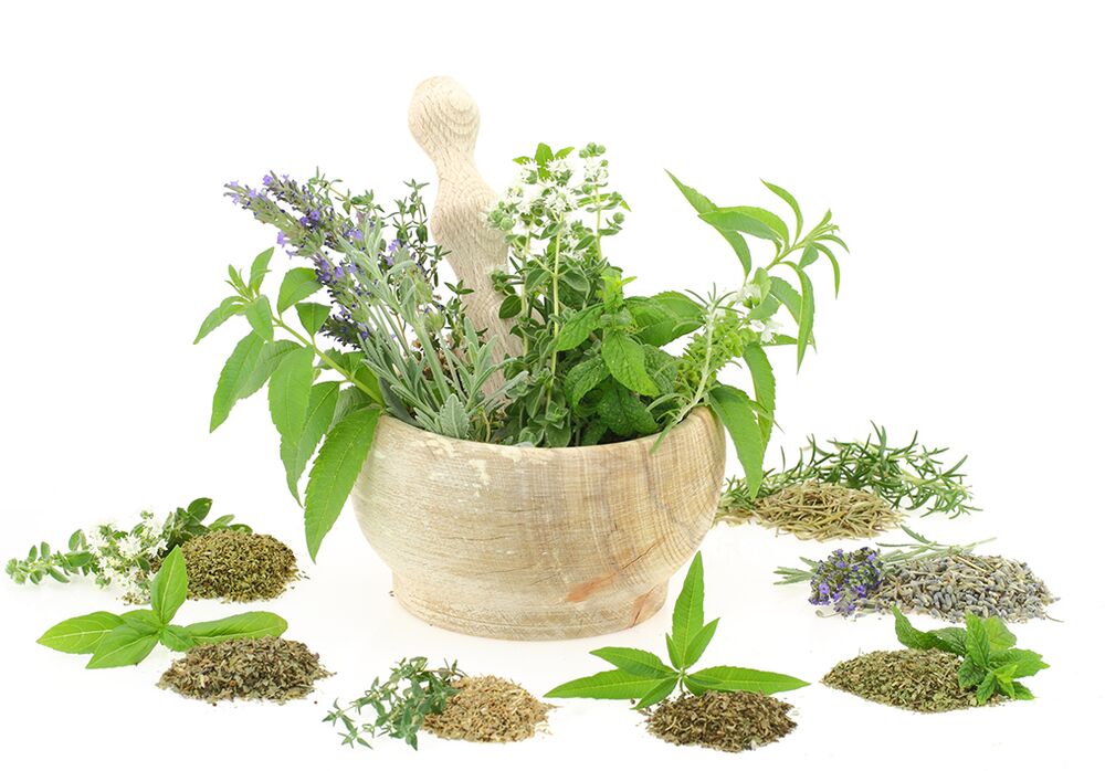 Extractos vegetales en la composición del producto. 