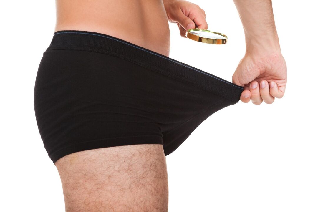 tamaño normal de los órganos masculinos