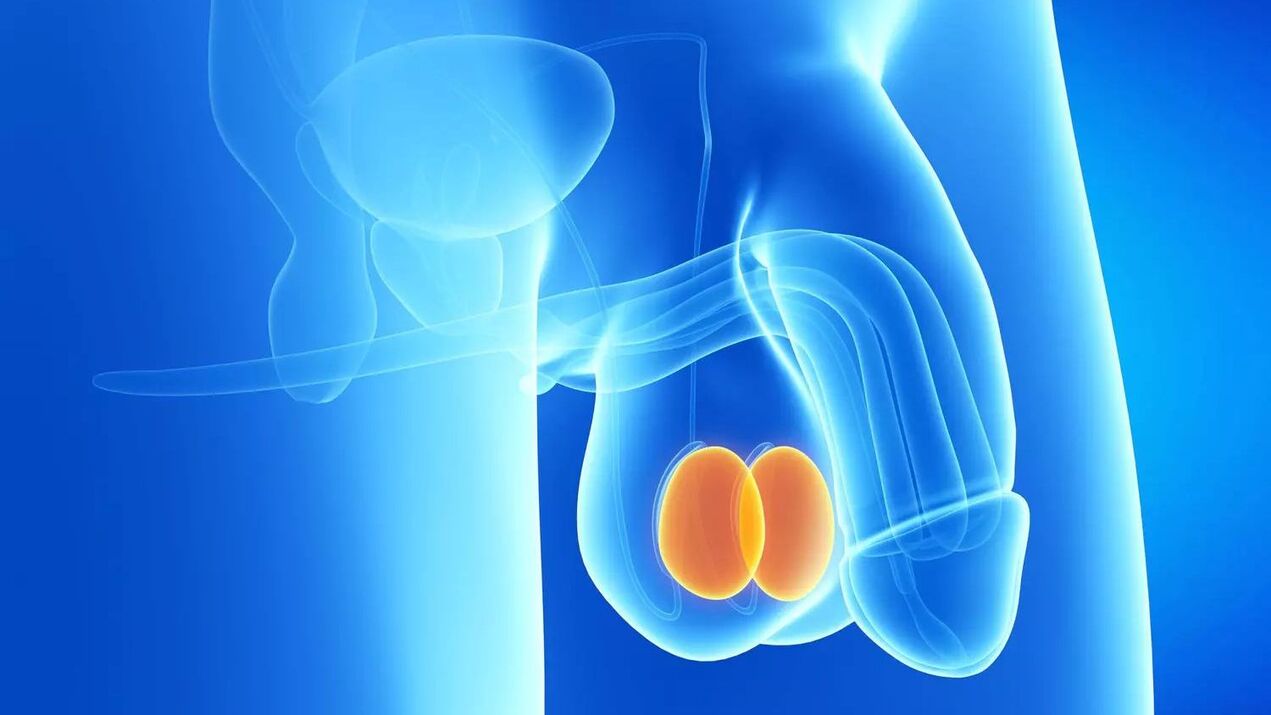 costo de la cirugia de agrandamiento del pene